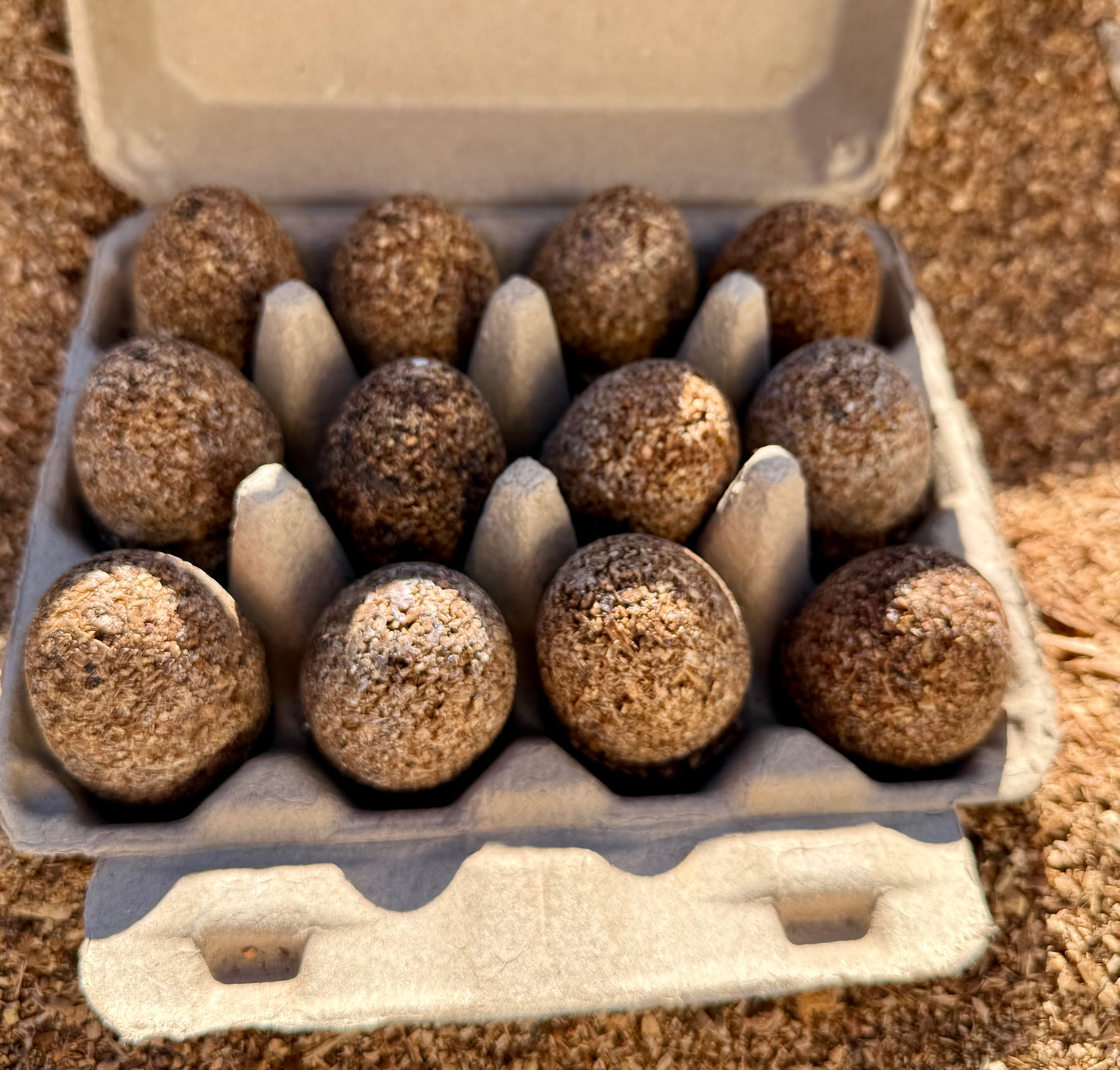 24 Fire Starters in Egg Carton