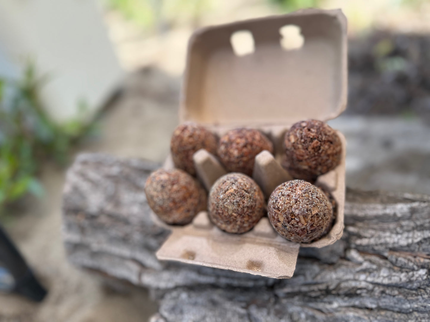 12 Fire Starters in Hatching Fire Egg Carton
