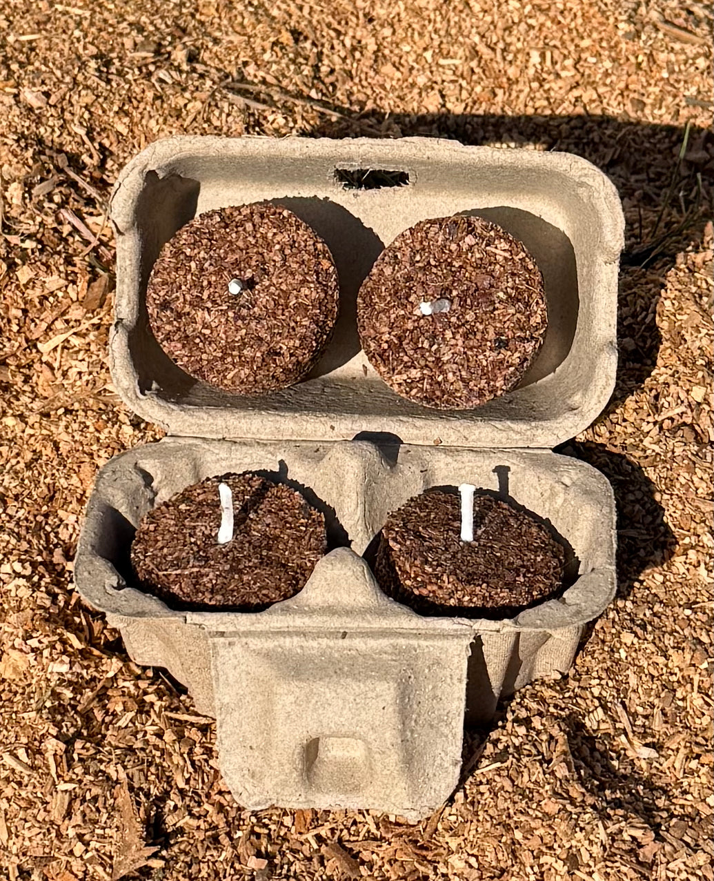 Four Fire Starters in Egg Carton