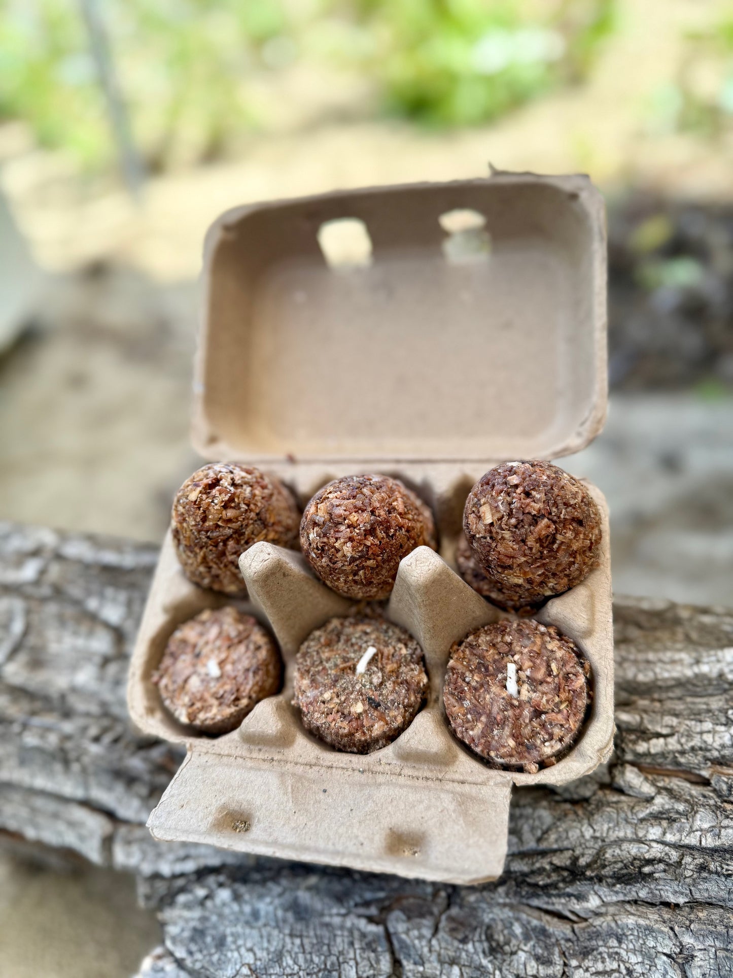 12 Fire Starters in Hatching Fire Egg Carton