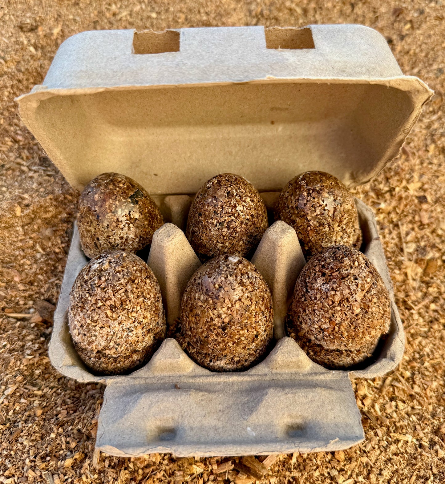 12 Fire Starters in Hatching Fire Egg Carton